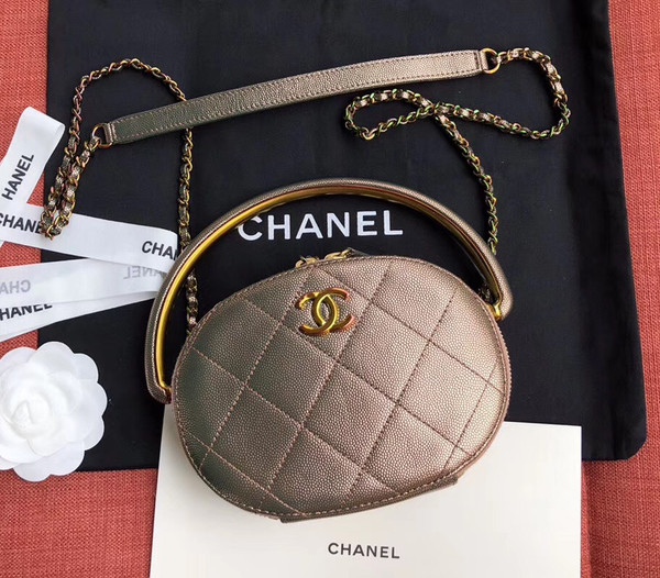 Chanel Metallic  Camera Case  AS0764
