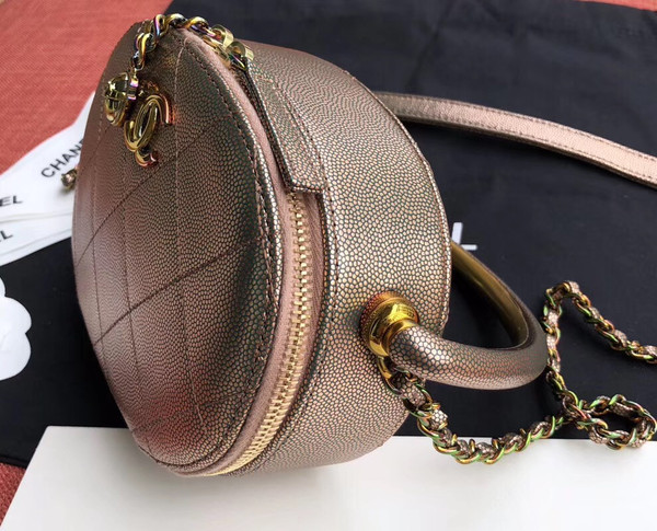 Chanel Metallic  Camera Case  AS0764
