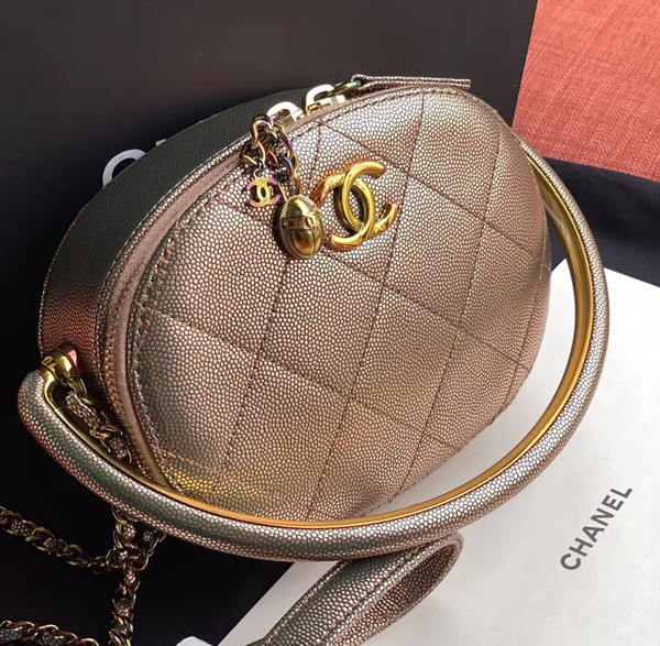 Chanel Metallic  Camera Case  AS0764