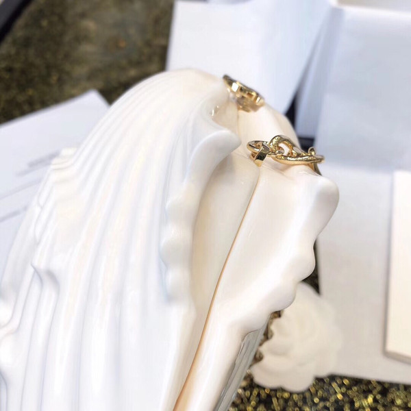 Chanel  Limited Edition shell plexiglass clutch 2019