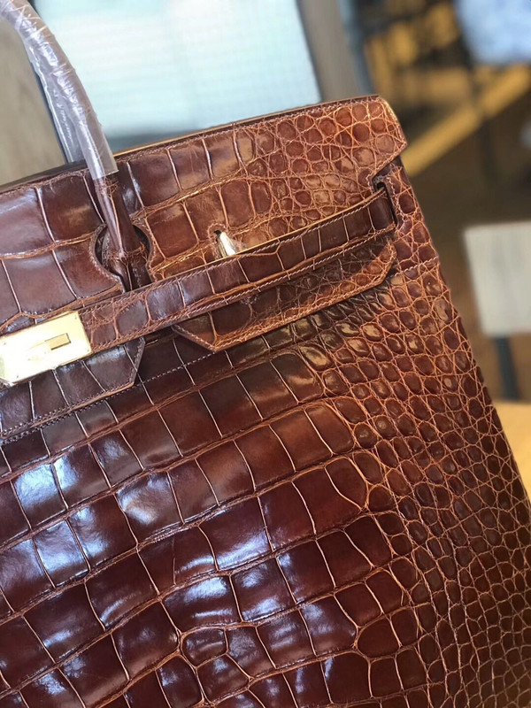 Hermes Birkin 50 HAC Alligator Gold Hardware