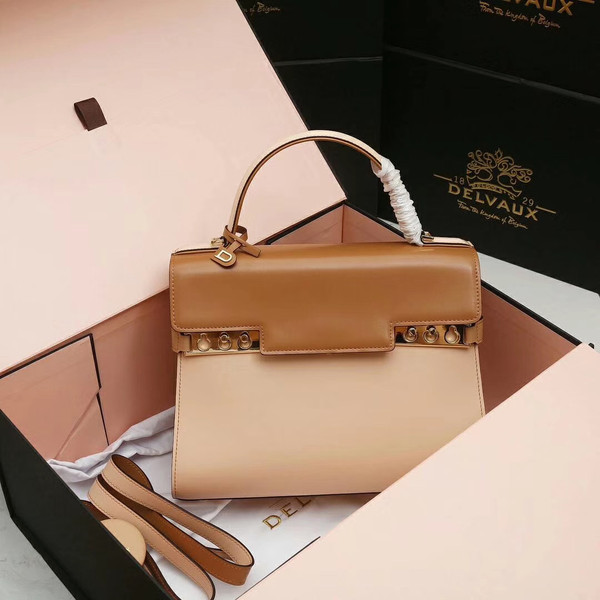 DELVAUX Tempête MM Box Leather Satchel Bi-coloured