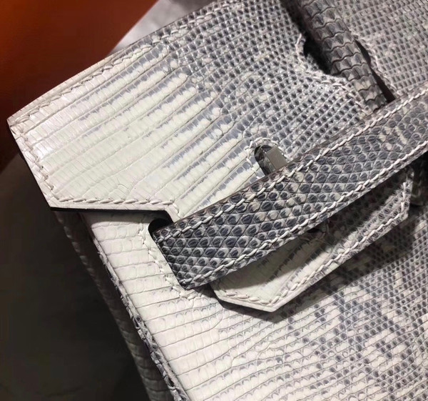 Hermes Rare SHINY OMBRÉ SALVATOR LIZARD BIRKIN 30 WITH PALLADIUM HARDWARE