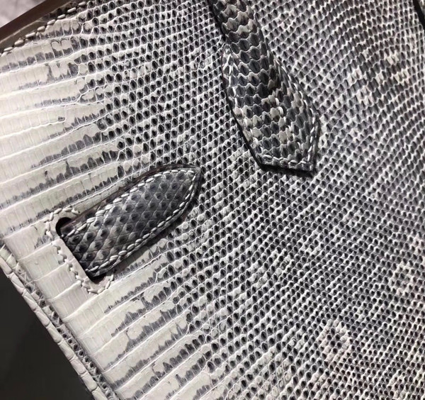 Hermes Rare SHINY OMBRÉ SALVATOR LIZARD BIRKIN 30 WITH PALLADIUM HARDWARE