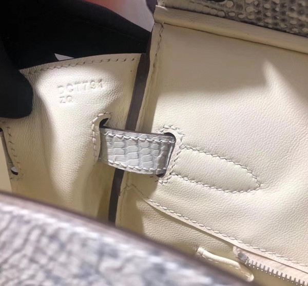 Hermes Rare SHINY OMBRÉ SALVATOR LIZARD BIRKIN 30 WITH PALLADIUM HARDWARE