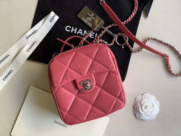 Chanel Camera case AS1323 Pink