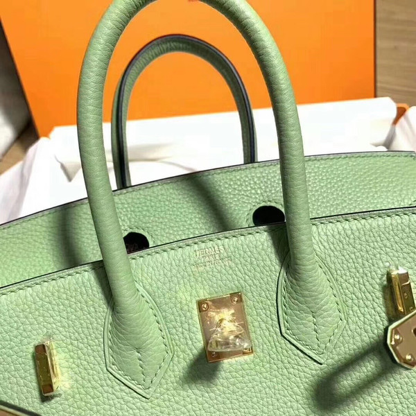 Hermes Vert Criquet Birkin 25 cm Togo Gold Hardware