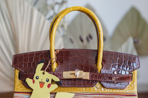 Hermes Niloticus Crocodile  Vibrato Leather BIRKIN 25CM Multiple color II