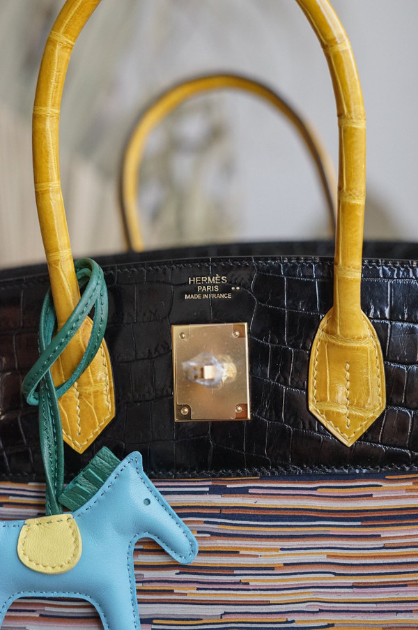 Hermes Niloticus Crocodile  Vibrato Leather BIRKIN 25CM Multiple color III