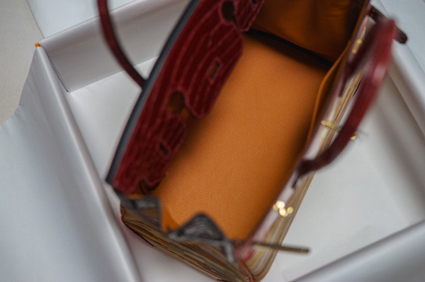 Hermes Niloticus Crocodile  Vibrato Leather BIRKIN 25CM Multiple color I I
