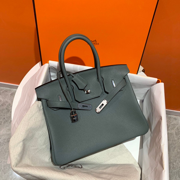 Hermes 63 Vert Amande Birkin 25cm Togo Palladium Hardware