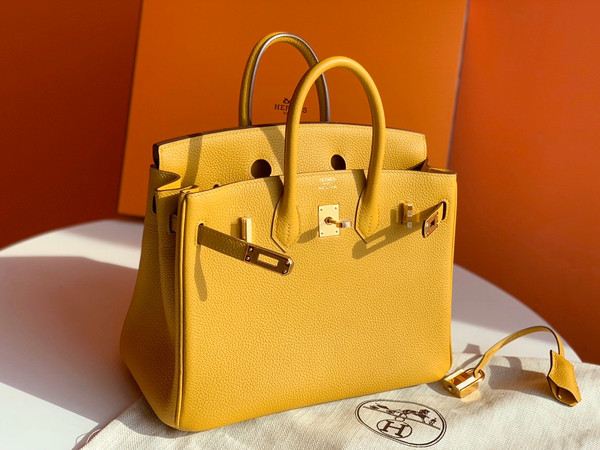 Hermes Hermes 9D Birkin 25 cm Togo Gold Hardware