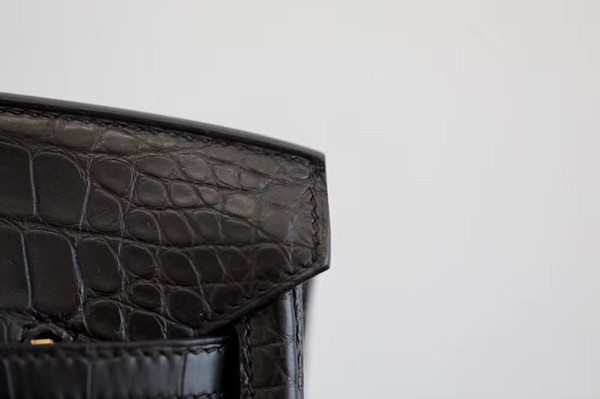 Hermes Birkin 25cm Black Matte Alligator  with Gold hardware