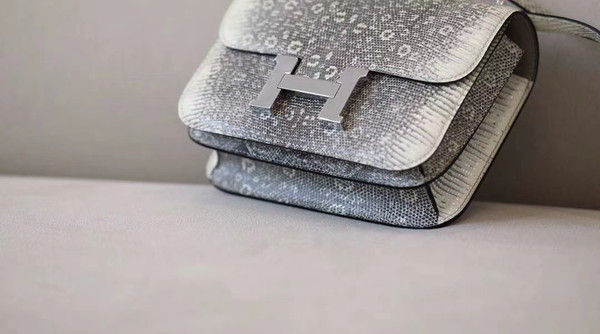Hermes Constance 18 Ombre Lizard Palladium Hardware