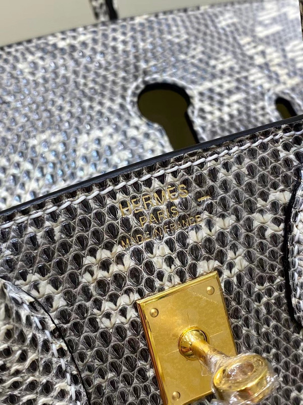 Hermes  Ombre Lizard Birkin Bag 25cm Gold Hardware