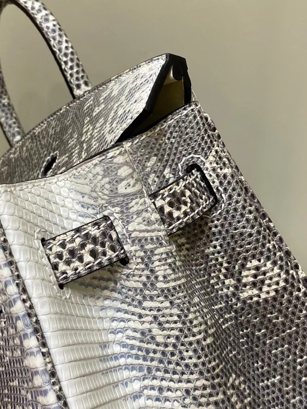Hermes  Ombre Lizard Birkin Bag 25cm Gold Hardware