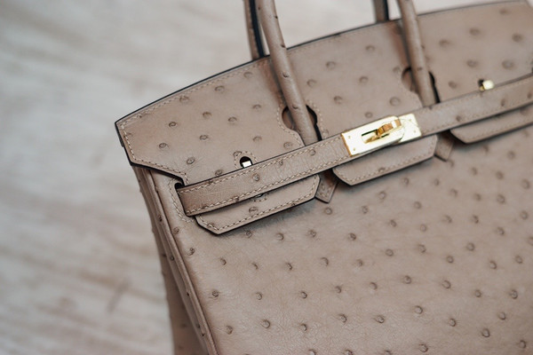 Hermes Etoupe Birkin Bag 25cm KK Ostrich Leather Gold Hardware