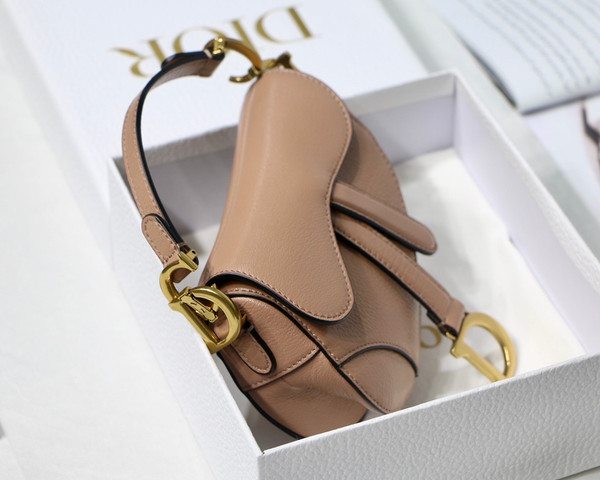 Christian MICRO SADDLE BAG Rose Des Vents Goatskin