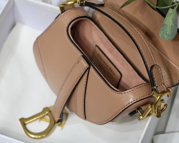 Christian MICRO SADDLE BAG Rose Des Vents Goatskin
