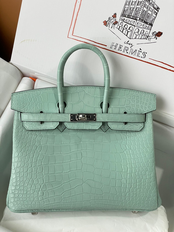 Hermes Birkin 25cm 6W Menthe Matte Alligator  with Palladium hardware