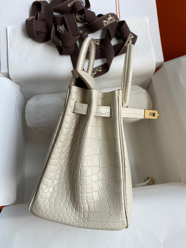 Hermes Birkin 25cm 8L Béton  Alligator  with Gold hardware