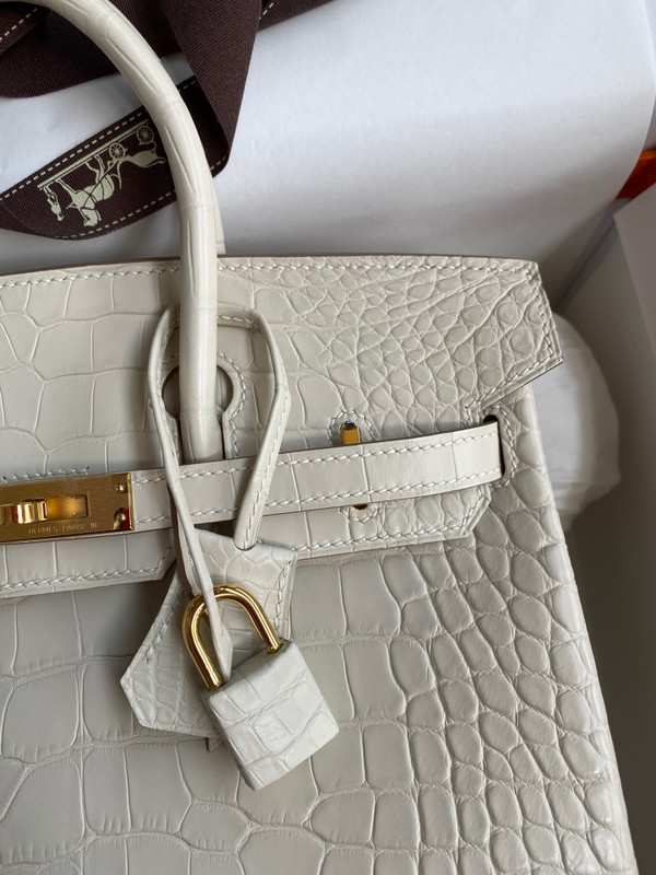Hermes Birkin 25cm 8L Béton  Alligator  with Gold hardware