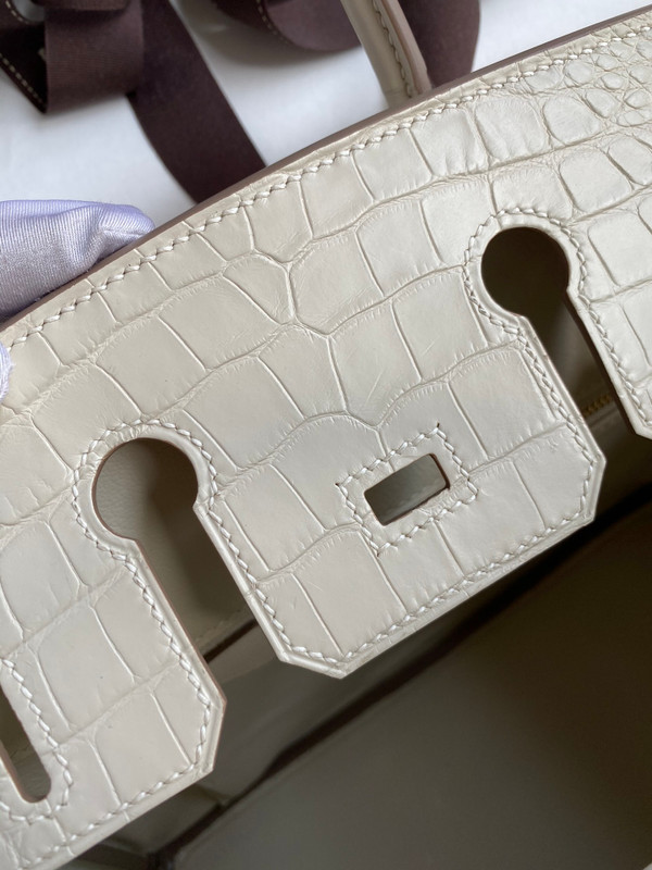 Hermes Birkin 25cm 8L Béton  Alligator  with Gold hardware