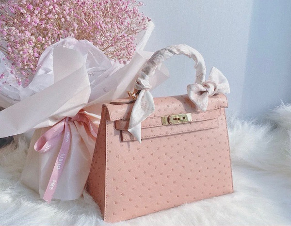 Hermès Kelly 25 Terre Cuite Ostrich With Gold Hardware