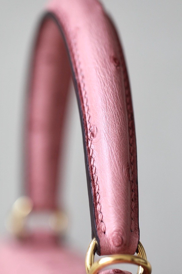 Hermès Kelly 25 Terre Cuite Ostrich With Gold Hardware