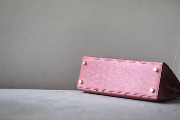 Hermès Kelly 25 Terre Cuite Ostrich With Gold Hardware