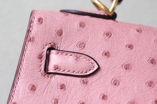 Hermès Kelly 25 Terre Cuite Ostrich With Gold Hardware