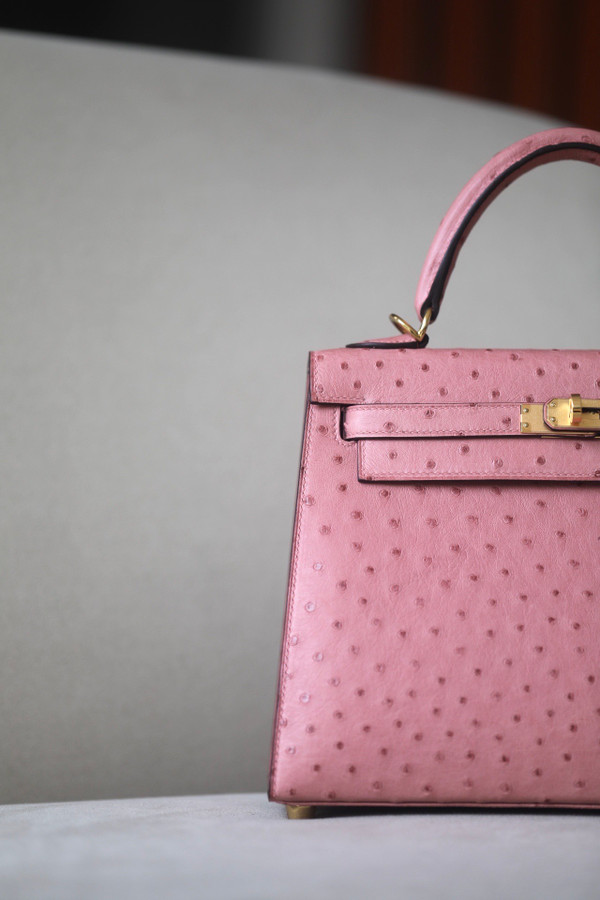 Hermès Kelly 25 Terre Cuite Ostrich With Gold Hardware