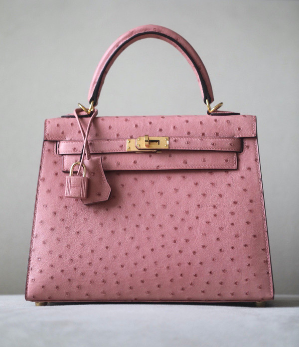 Hermès Kelly 25 Terre Cuite Ostrich With Gold Hardware
