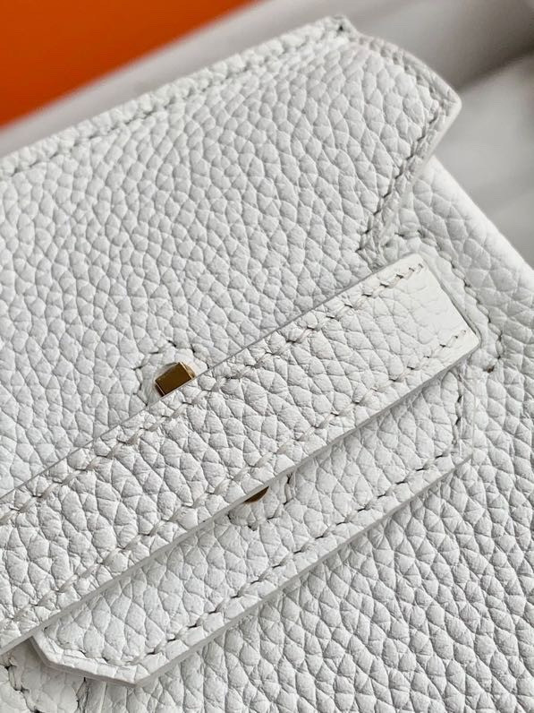 Hermes White Birkin 25 cm Togo Gold Hardware