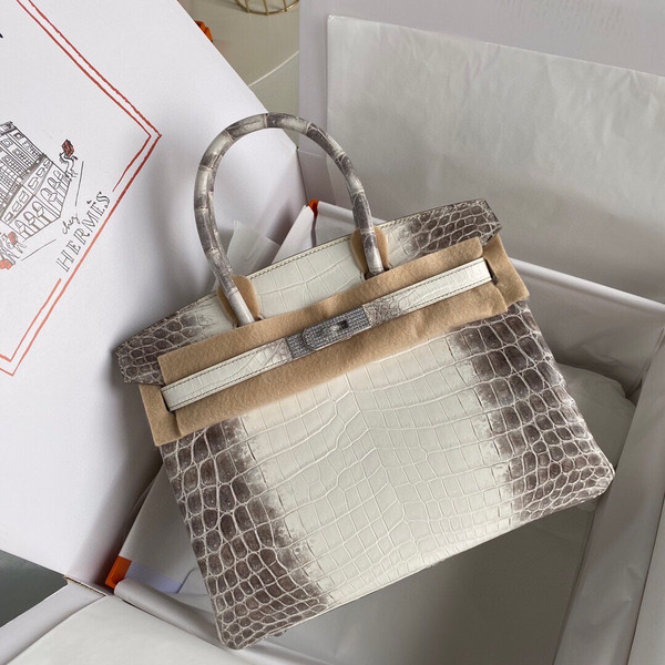 Hermes Matte Himalayan Crocodile Niloticus Birkin bag with 18-karat white gold and diamond