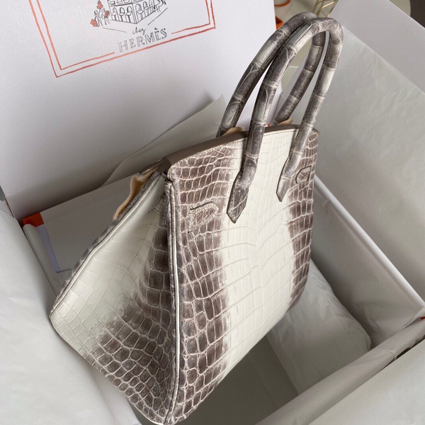 Hermes Matte Himalayan Crocodile Niloticus Birkin bag with 18-karat white gold and diamond