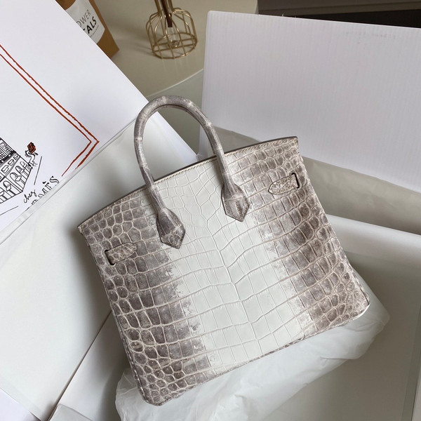 Hermes Matte Himalayan Crocodile Niloticus Birkin bag with 18-karat white gold and diamond