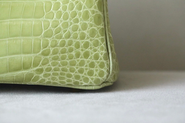 Hermès Birkin 25 Vert Anis Shiny  Crocodile Niloticus Gold Hardware