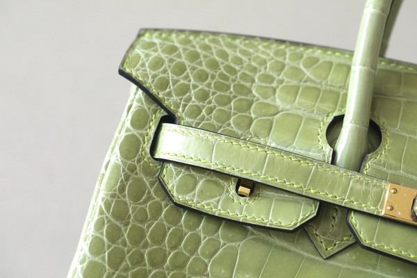 Hermès Birkin 25 Vert Anis Shiny  Crocodile Niloticus Gold Hardware