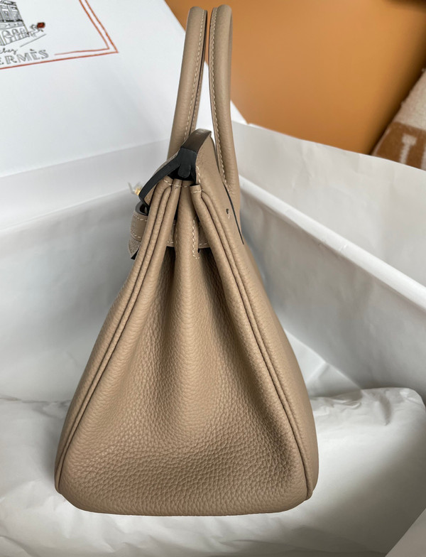 Hermes Biscuit  Birkin 25cm Togo Gold Hardware