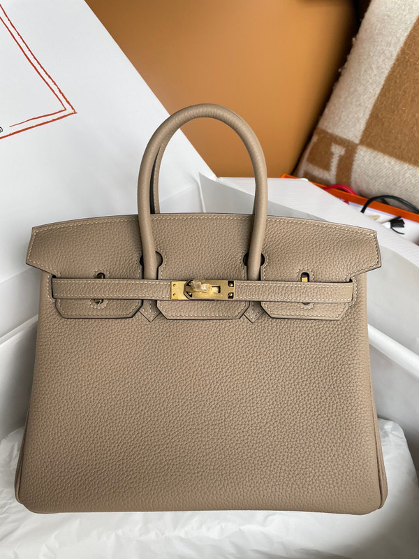 Hermes Biscuit  Birkin 25cm Togo Gold Hardware