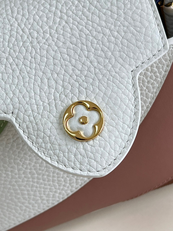 Louis Vuitton M59864 CAPUCINES MINI BAG