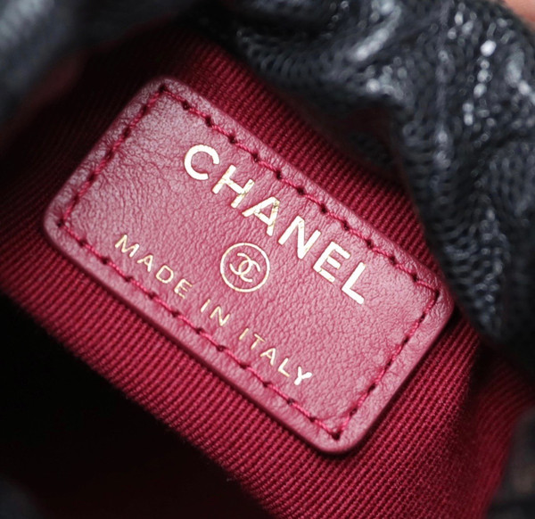 Chanel SMALL BUCKET BAG 2022