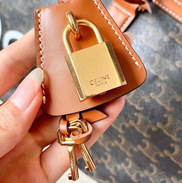 CELINE TRAVEL 50 IN TRIOMPHE CANVAS WITH DOG PRINT TAN
