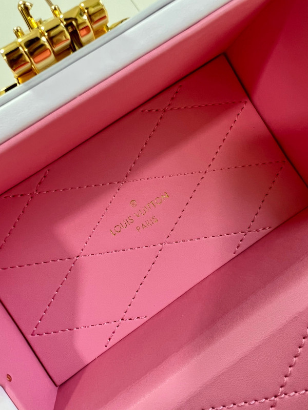 Louis Vuitton M10077 CAMERA BOX