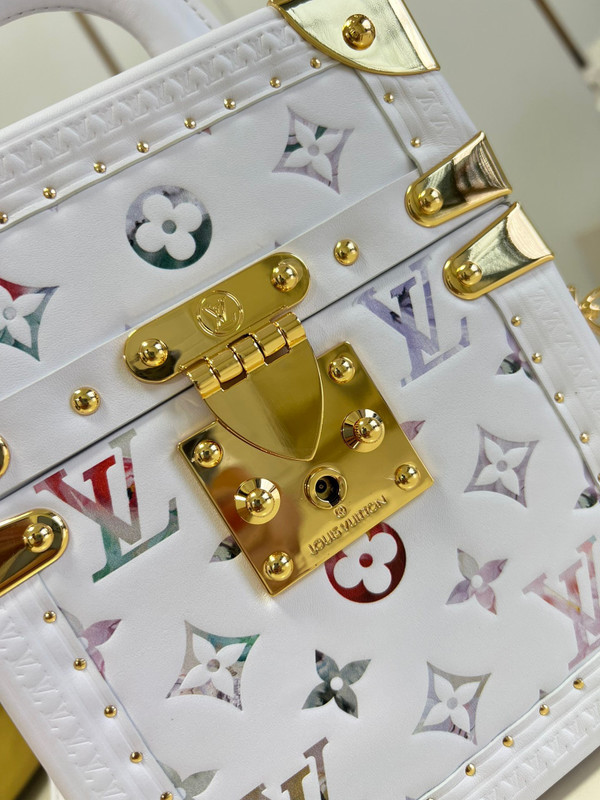 Louis Vuitton M10077 CAMERA BOX