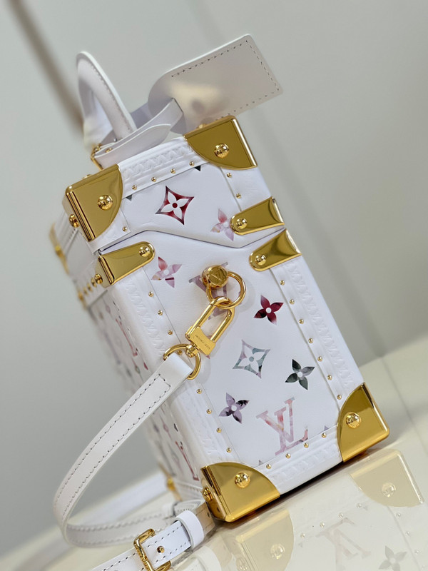 Louis Vuitton M10077 CAMERA BOX