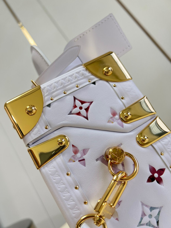 Louis Vuitton M10077 CAMERA BOX