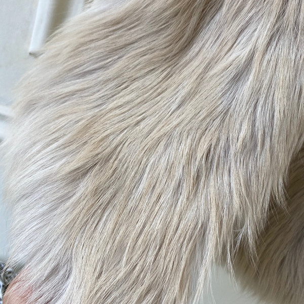 Fendi Gilet White fox-fur  gilet