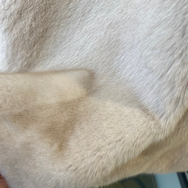 Fendi Cocoon Gilet Yellow mink gilet